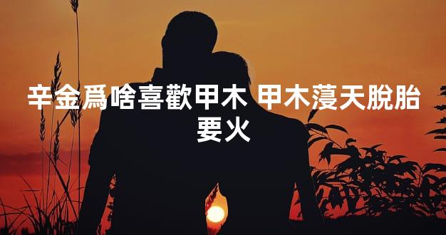 辛金爲啥喜歡甲木 甲木蓡天脫胎要火